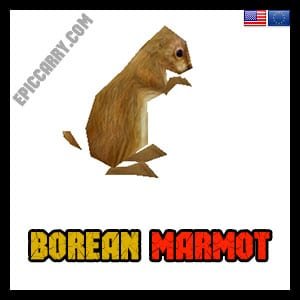 Borean Marmot