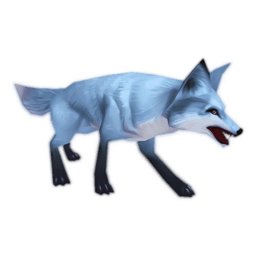 Arctic Fox Kit