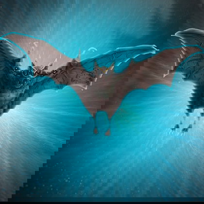 Warcraft Glory of the Nathria Raider