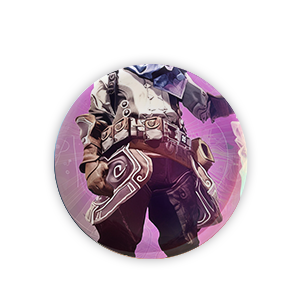 Buy D2 Stoicism Carry