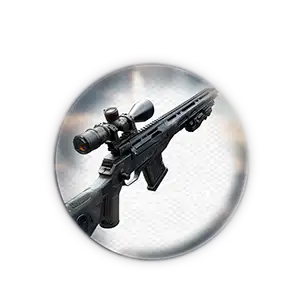 COD Black Ops 6 Marksman Rifles Leveling Carry