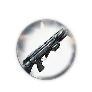 COD Black Ops 6 Shotguns Leveling Service