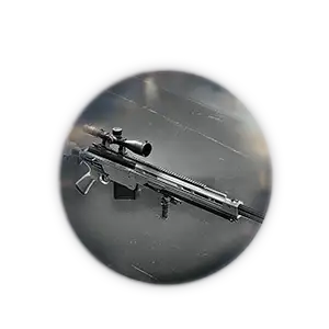 BO6 AMR Mod Unlock Service