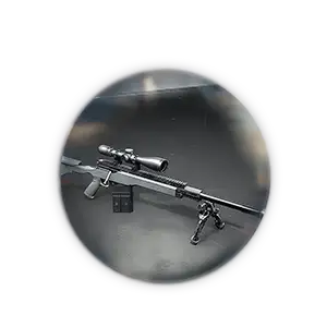 BO6 AMR Mod Unlock Boost