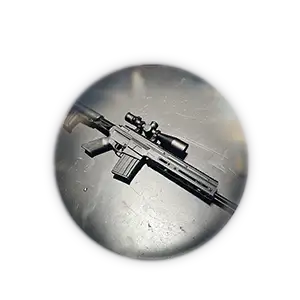 BO6 AMR Mod Unlock Carry