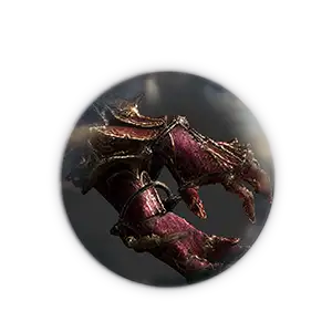 PoE 2 Hand of Wisdom and Action Carry