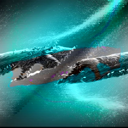 Slayer's Fang Service