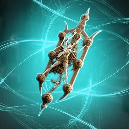 PoE 2 Lycosidae Carry