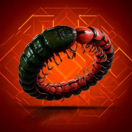 Path of Exile 2 Ryslatha’s Coil Boost