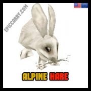 Alpine Hare