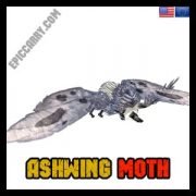 Ashwing Moth