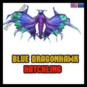 Blue Dragonhawk Hatchling