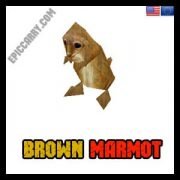 Brown Marmot
