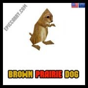 Brown Prairie Pup