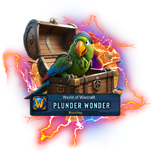 plunder wonder carry service